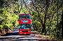 Blue Mountains Explorer Bus