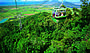 Cairns in a Day - Kuranda Combo