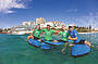 Sydney Bondi Surf Experience - 2hr group lesson