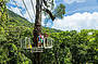 Some great views over the forest towards the reef