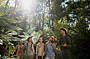 Great Ocean Road & Otway's Rainforest Tour Reverse Direction (with Lunch)