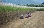 ATV Riding near Cane fields at Cairns